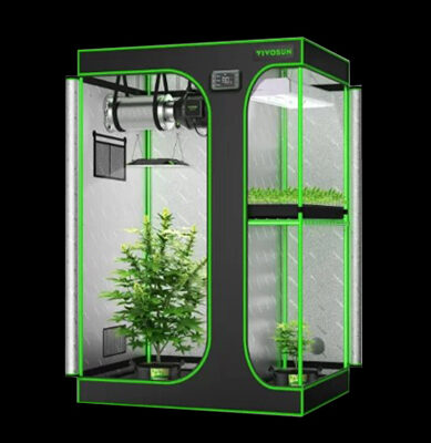 Guia De Cultivo Grow Da Maria Cultivo Indoor