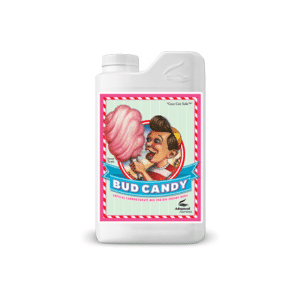 Bud Candy 1L