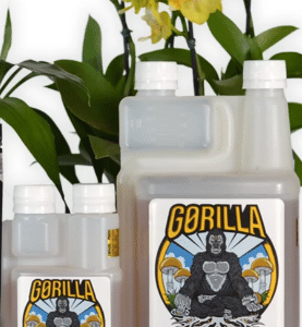 Gorilla Microbes