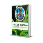 Guia de Cultivo Podas e Amarras