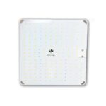 Quantum-Board-Pro-Mid-Golden-Series-35w
