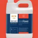 Remo-Astroflower 10L
