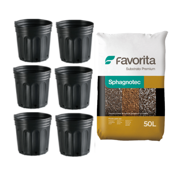 Substrato 50%-50% Sphagnotec Com 6 Vasos de 8L