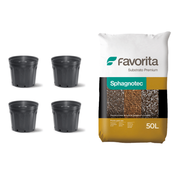 Substrato 50%-50% Sphagnotec Com 4 Vasos de 11L