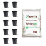 |||||Turfa com Perlita 50L – Sphagnotec 70-30 Com 10 vasos 5L