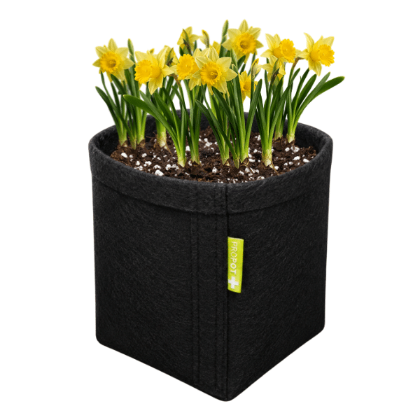 Vaso de Feltro PROPOT GARDEN 30L