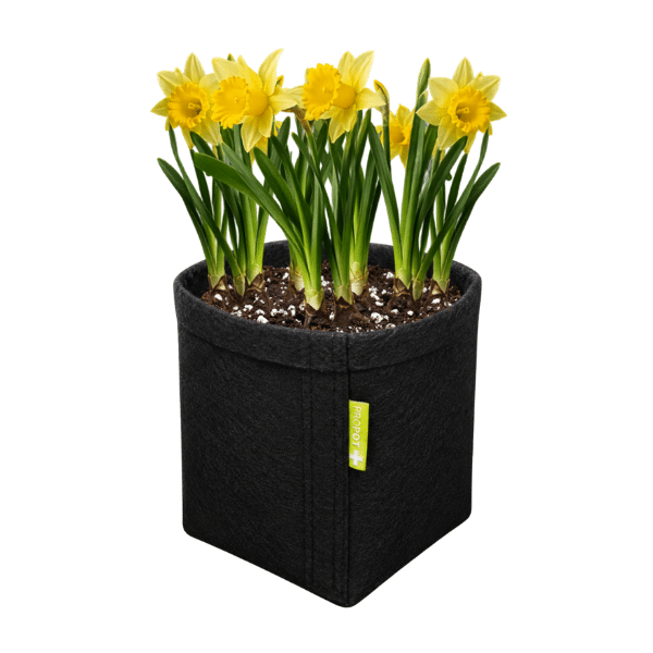Vaso de Feltro PROPOT GARDEN 11L
