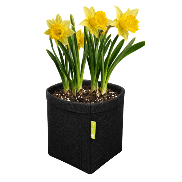 Vaso de Feltro PROPOT GARDEN 7L