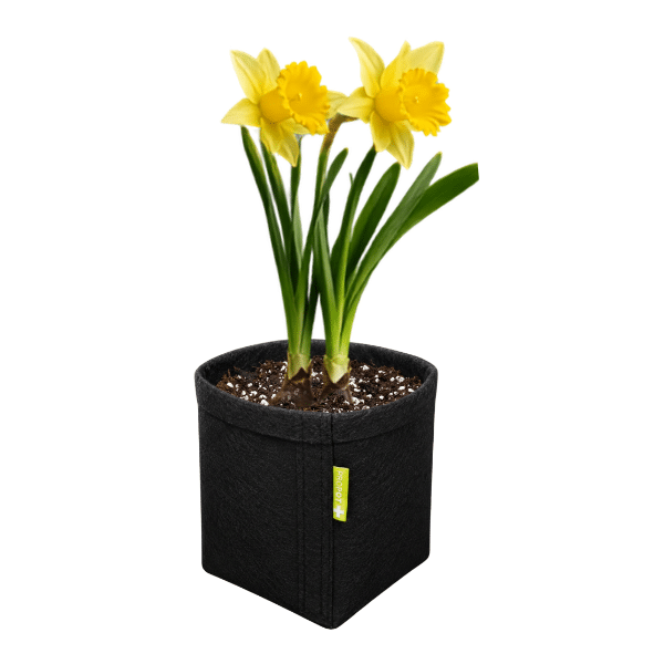 Vaso de Feltro PROPOT GARDEN 4L
