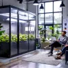 consultoria de cultivo