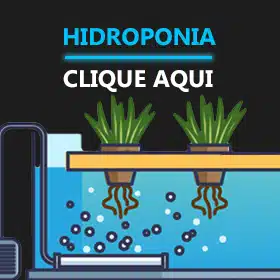 Hidroponia