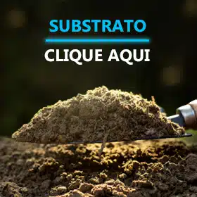 Substrato