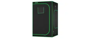 Cabine