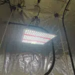 Kit Cultivo Quantum Board 35w Lm283b Estufa 40x40x120 Master plants