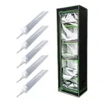 Kit Produçao para clones de mudas 5 leds 18W