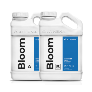 Athena Bloom A + B - 1 Galão
