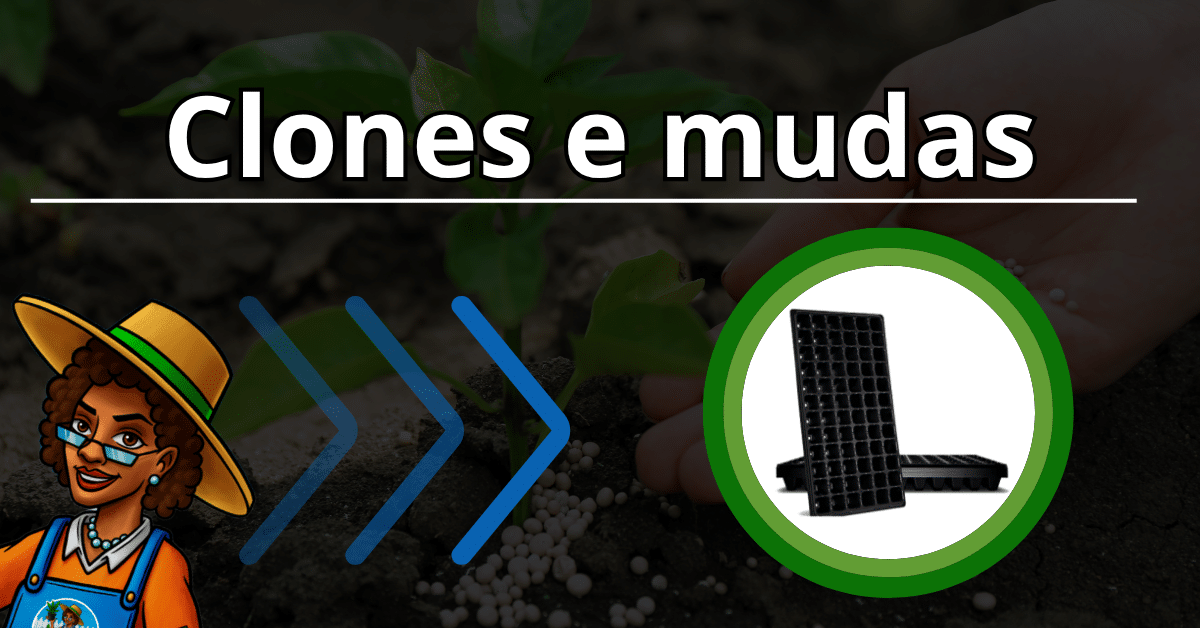Clones e mudas