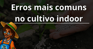 Erros mais comuns no cultivo indoor