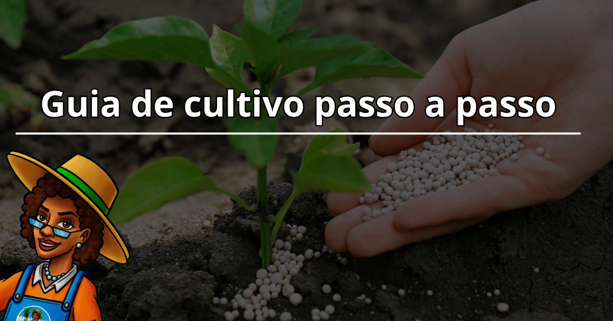 Guia de cultivo passo a passo para iniciantes