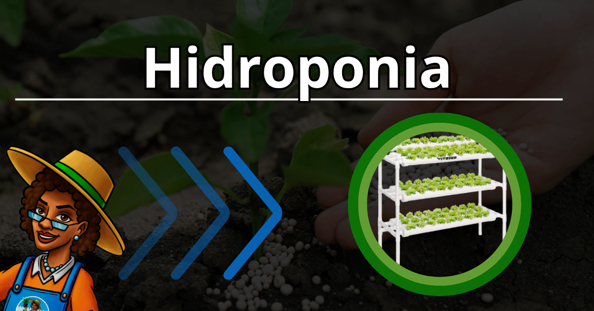 Hidroponia no Cultivo Indoor