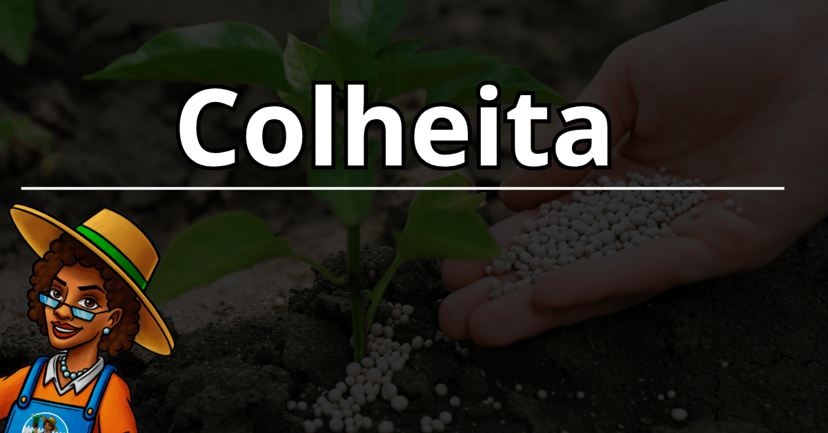 Quando e Como Colher Sua Planta da Maria no Cultivo Indoor