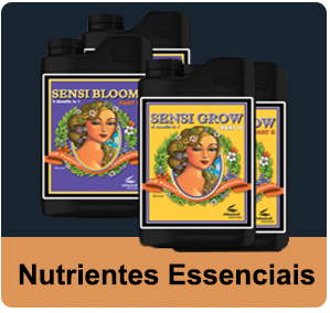 Nutrientes Essenciais