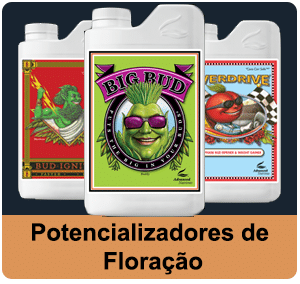 Potencializadores de Floração