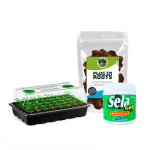 Kit Propagação profissional