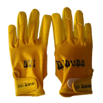 Sili Gloves
