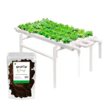kit cultivo hidroponico + Plug 50