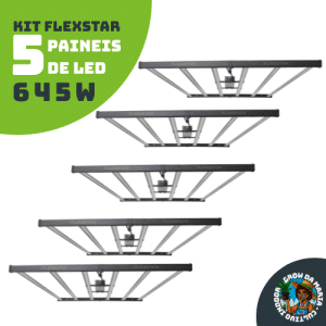 Kit 5 paineis Flexstar 645w
