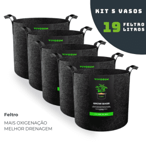 Vaso de Feltro