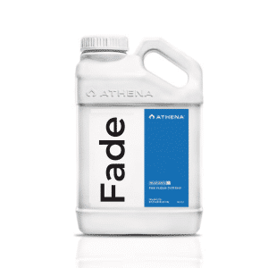 Athena Fade