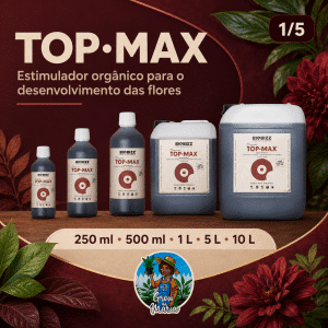 Top Max