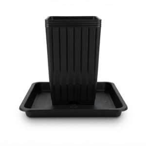 Vaso Quadrado 7L + Prato Raso Quadrado