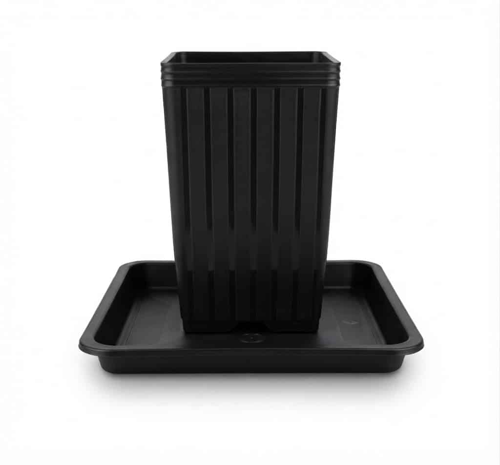 Vaso Quadrado 7L + Prato Raso Quadrado