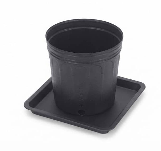 Vaso para Mudas Nutriplan 5 Litros + Prato Raso Quadrado
