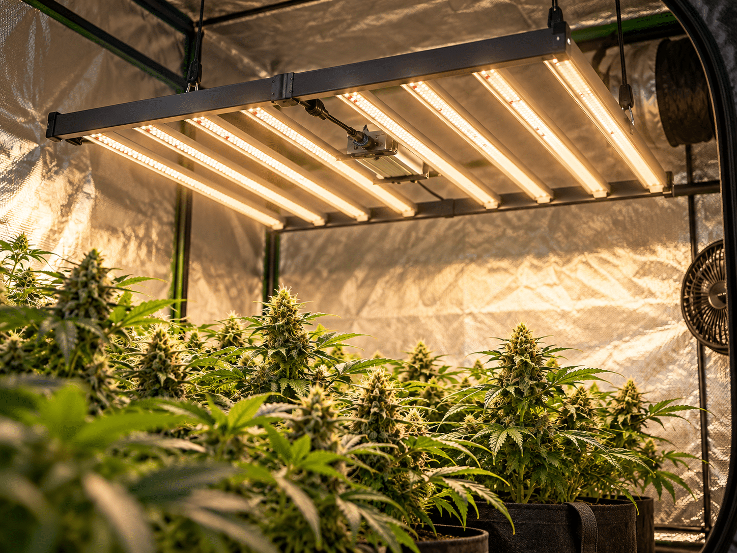 Painéis de LED para cultivo indoor